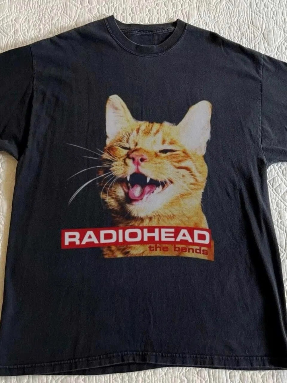 Short Sleeve Graphic Tee in Black with Orange Cat Print